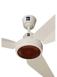 Pak floral classic fan